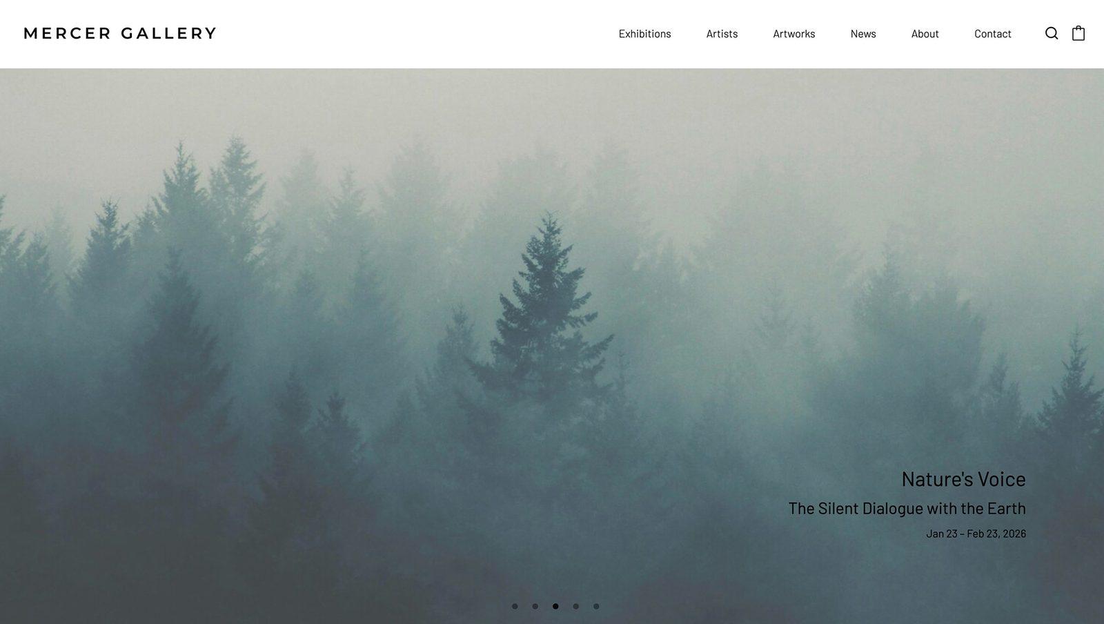 Mercer Gallery website — Nature's Voice exhibition hero