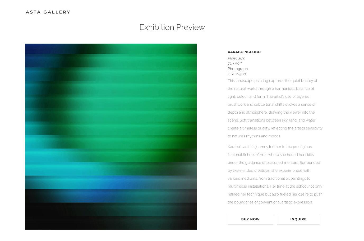 Asta Gallery exhibition preview — Karabo Ngcobo, Indecision, with Buy Now and Inquire