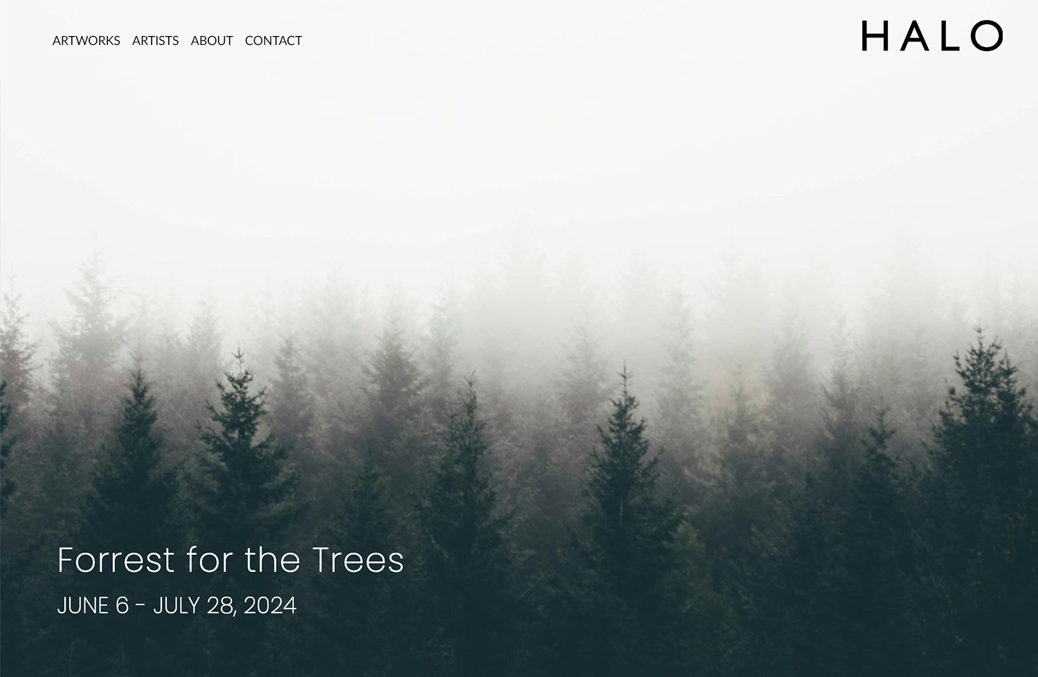 Bespoke website services for art galleries